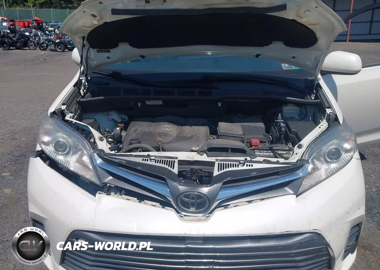 2019 Toyota Sienna Xle 8 Passenger VIN:5TDYZ3DC4KS976491 - 10