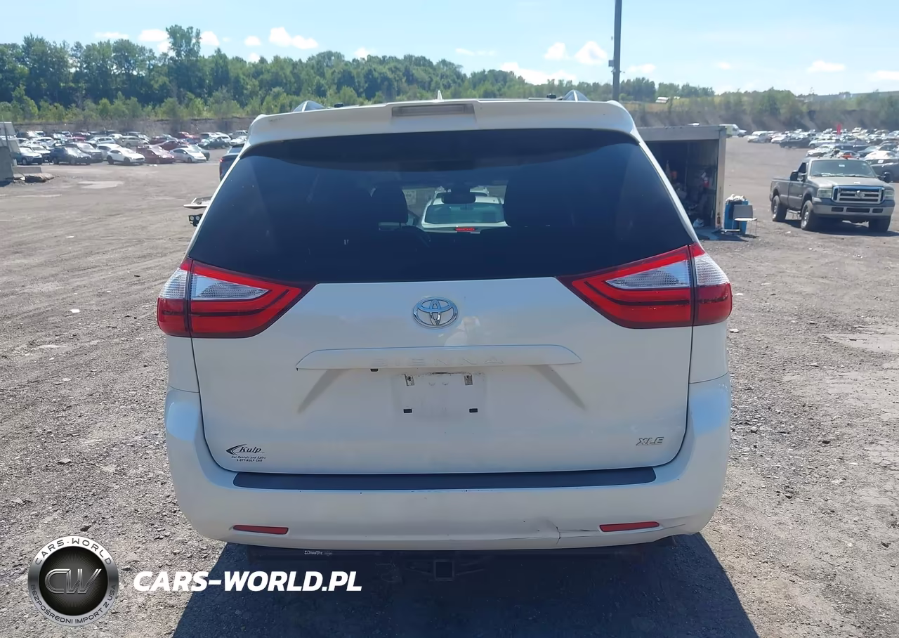 2019 Toyota Sienna Xle 8 Passenger VIN:5TDYZ3DC4KS976491 - 16