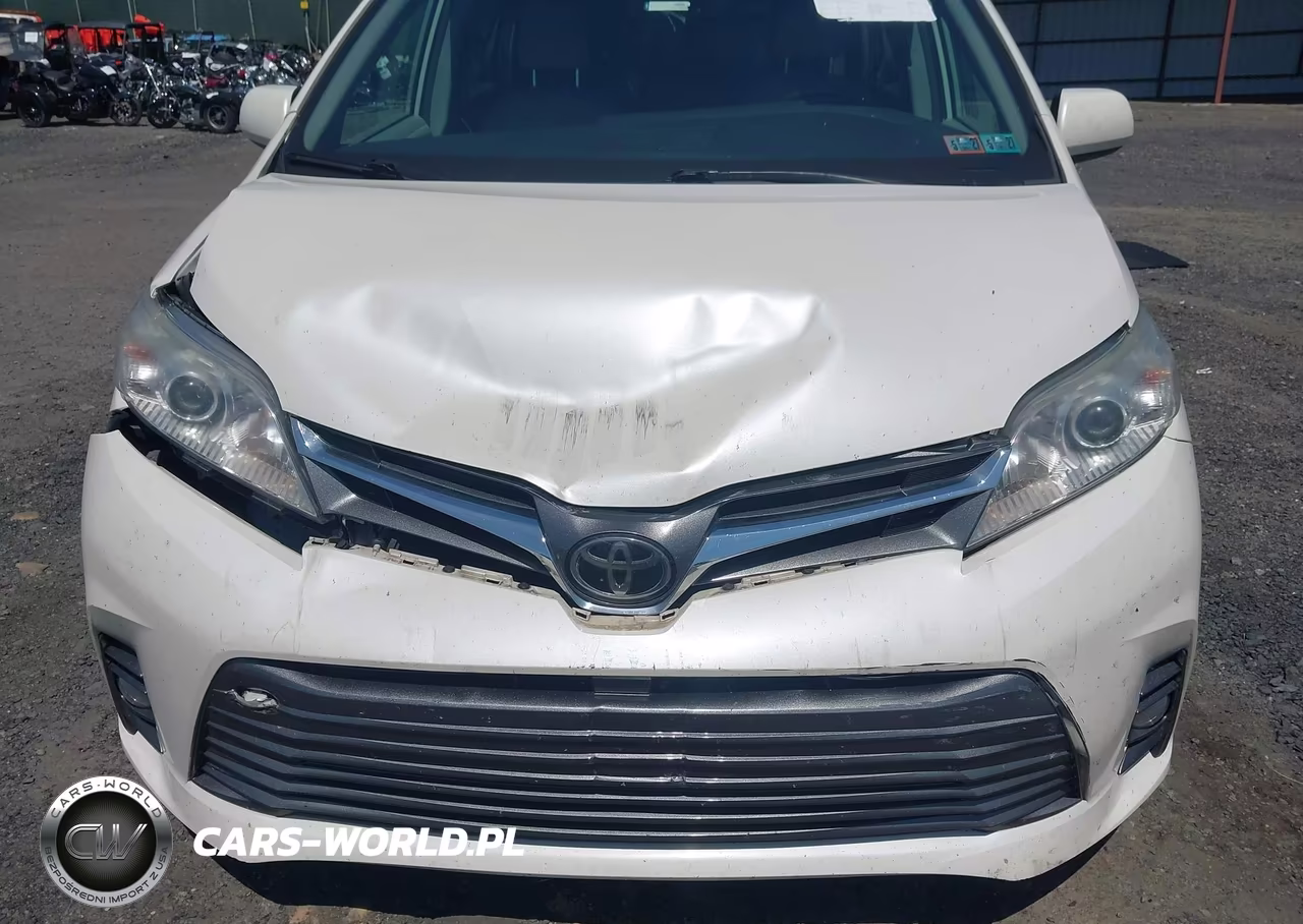 2019 Toyota Sienna Xle 8 Passenger VIN:5TDYZ3DC4KS976491 - 6