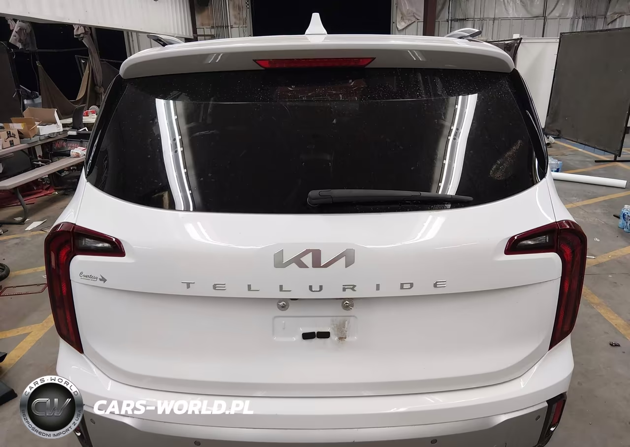 2024 Kia Telluride S VIN:5XYP64GC1RG525029 - 16