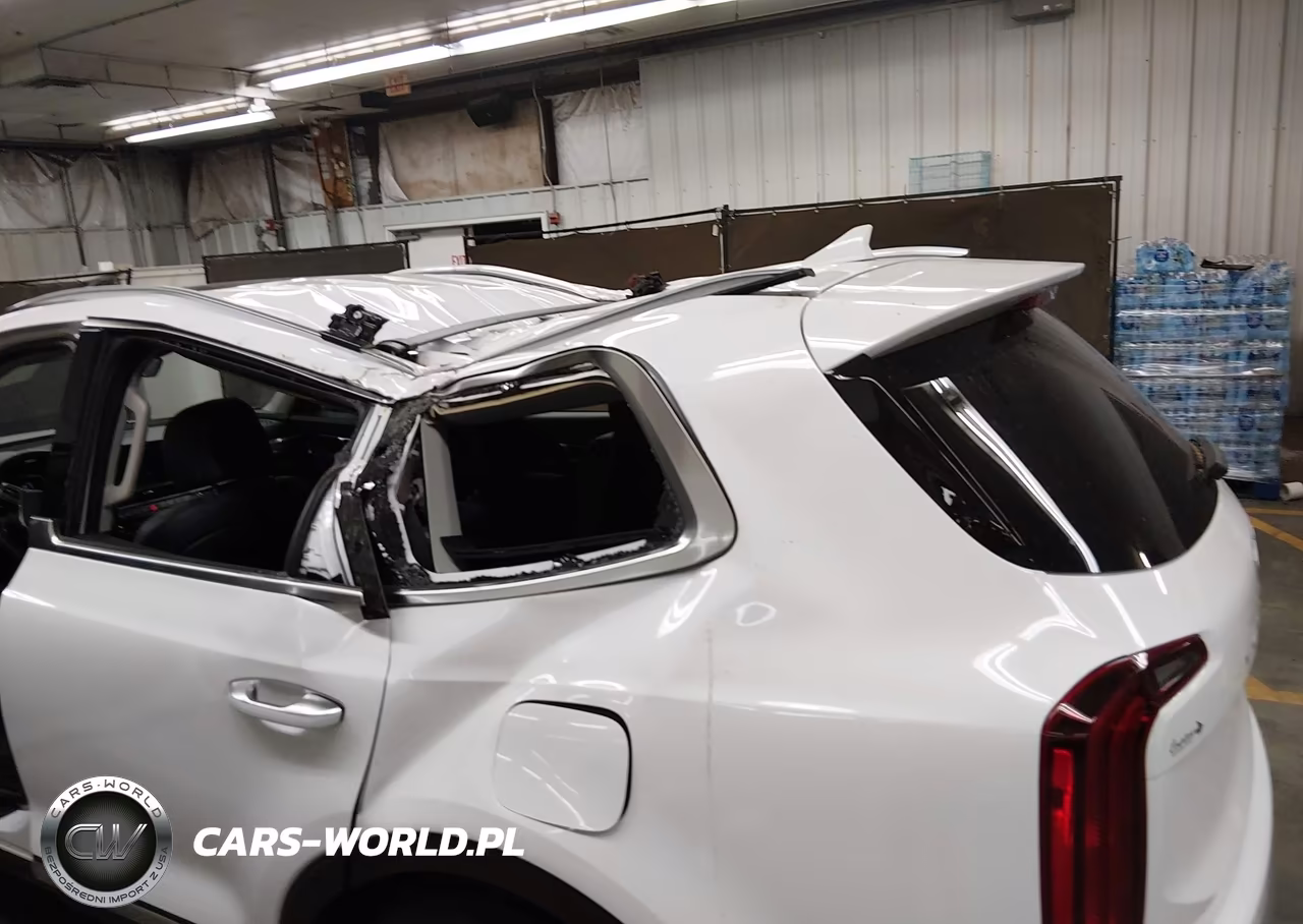 2024 Kia Telluride S VIN:5XYP64GC1RG525029 - 6