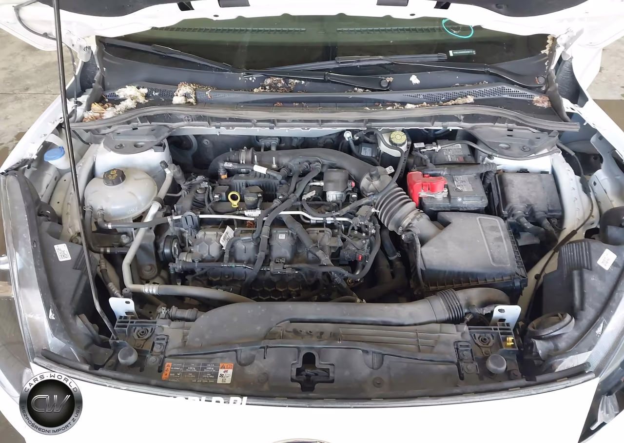 2022 Ford Escape Sel VIN:1FMCU9H95NUA36772 - 10