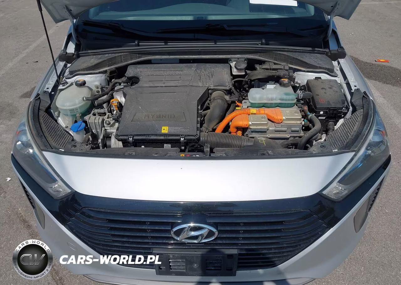 2019 Hyundai Ioniq Hybrid Blue VIN:KMHC65LC2KU158782 - 10