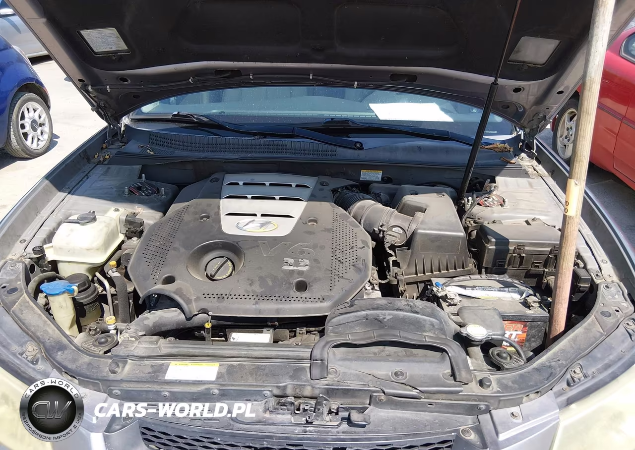 2006 Hyundai Sonata Gls V6-Lx V6 VIN:5NPEU46F16H075752 - 10