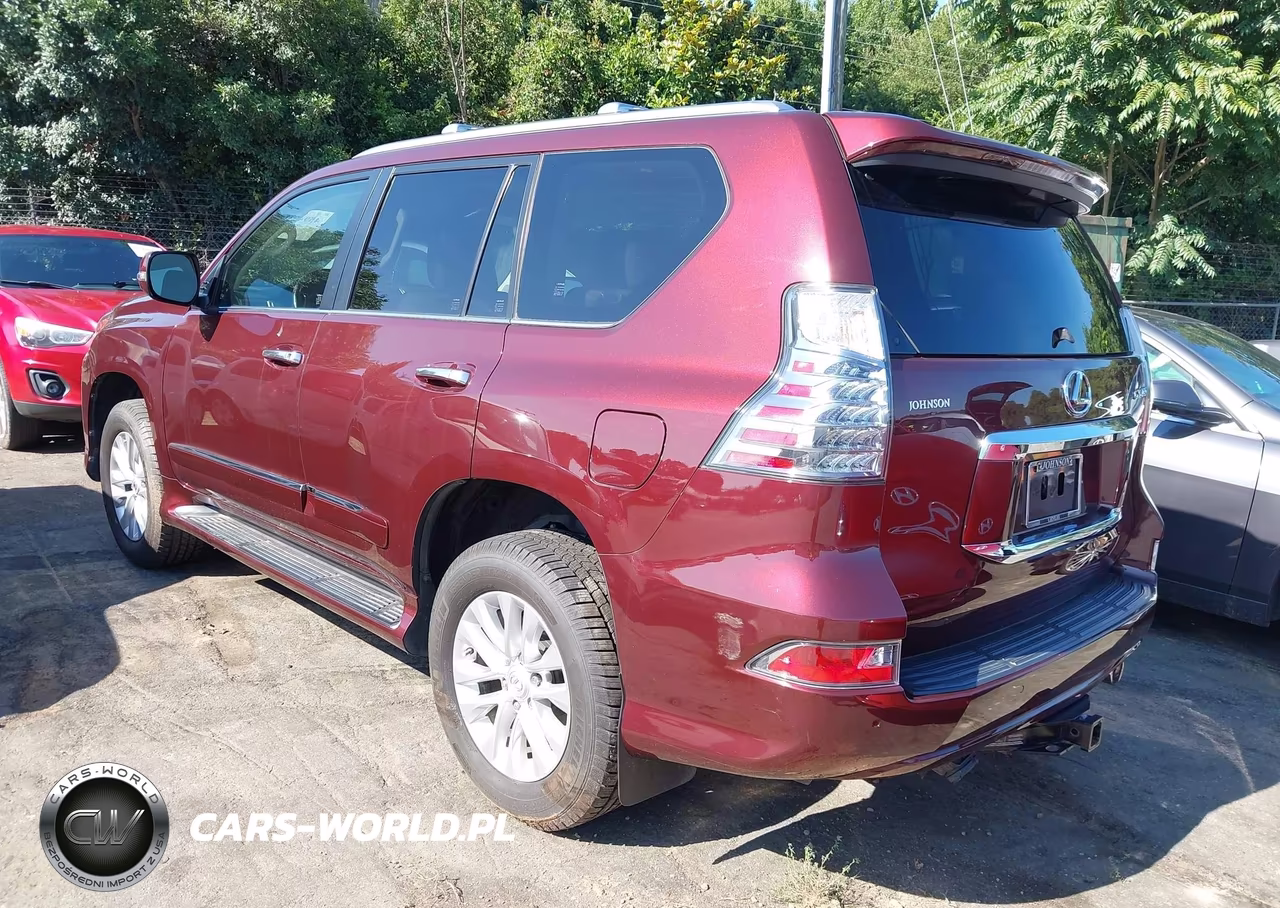 2019 Lexus Gx 460 Premium VIN:JTJBM7FX5K5228766 - 3