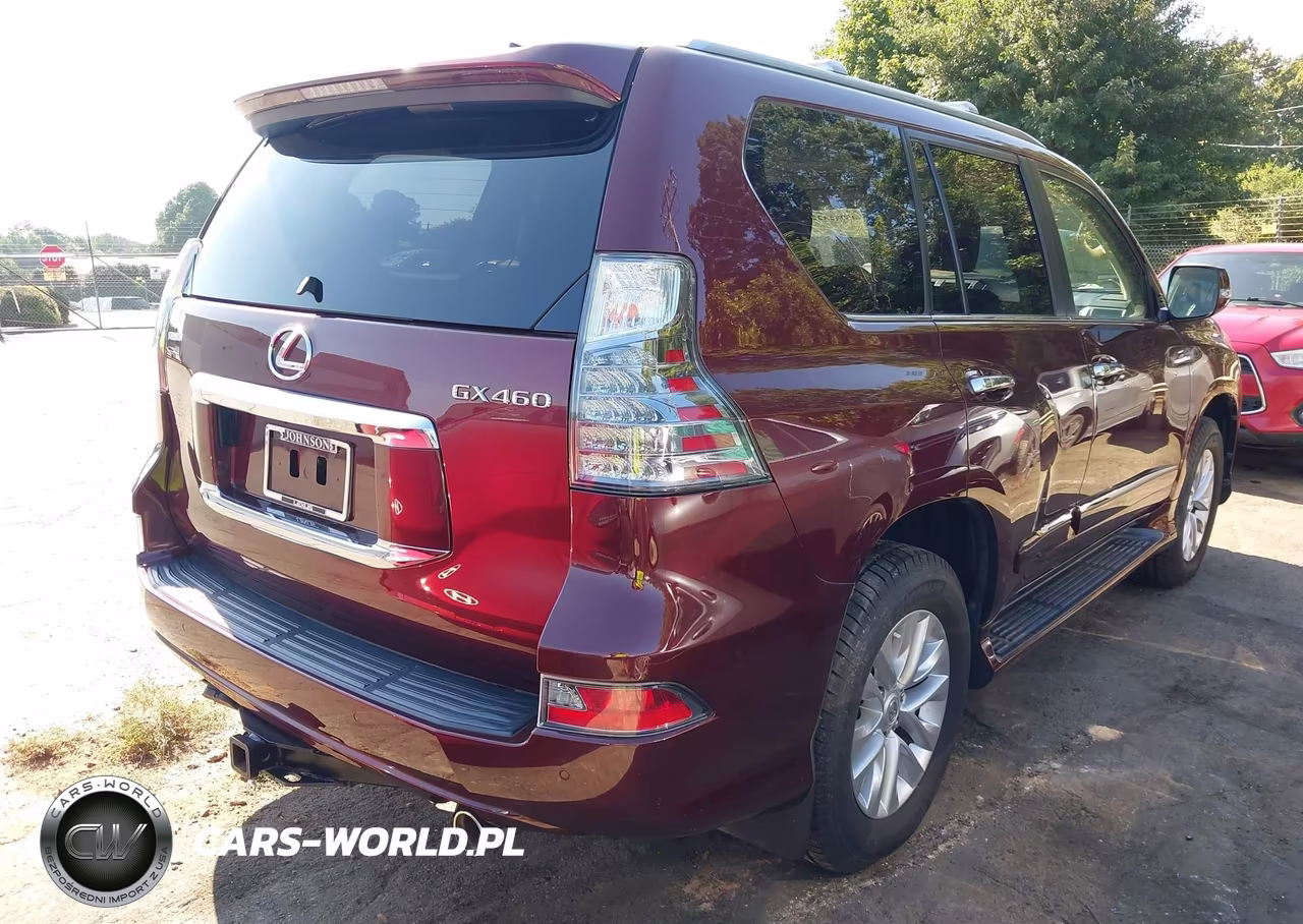 2019 Lexus Gx 460 Premium VIN:JTJBM7FX5K5228766 - 4