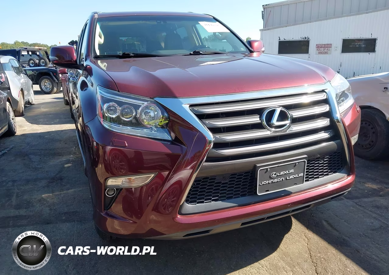 2019 Lexus Gx 460 Premium VIN:JTJBM7FX5K5228766 - 6