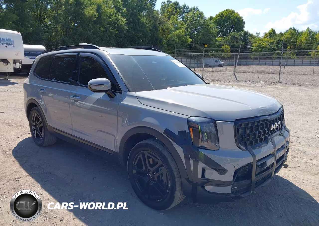 2024 Kia Telluride Sx X-Line VIN:5XYP5DGC6RG435975 - 1
