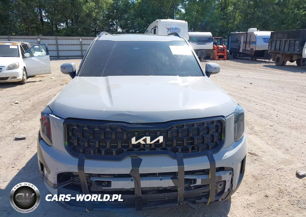 2024 Kia Telluride Sx X-Line VIN:5XYP5DGC6RG435975 - 12