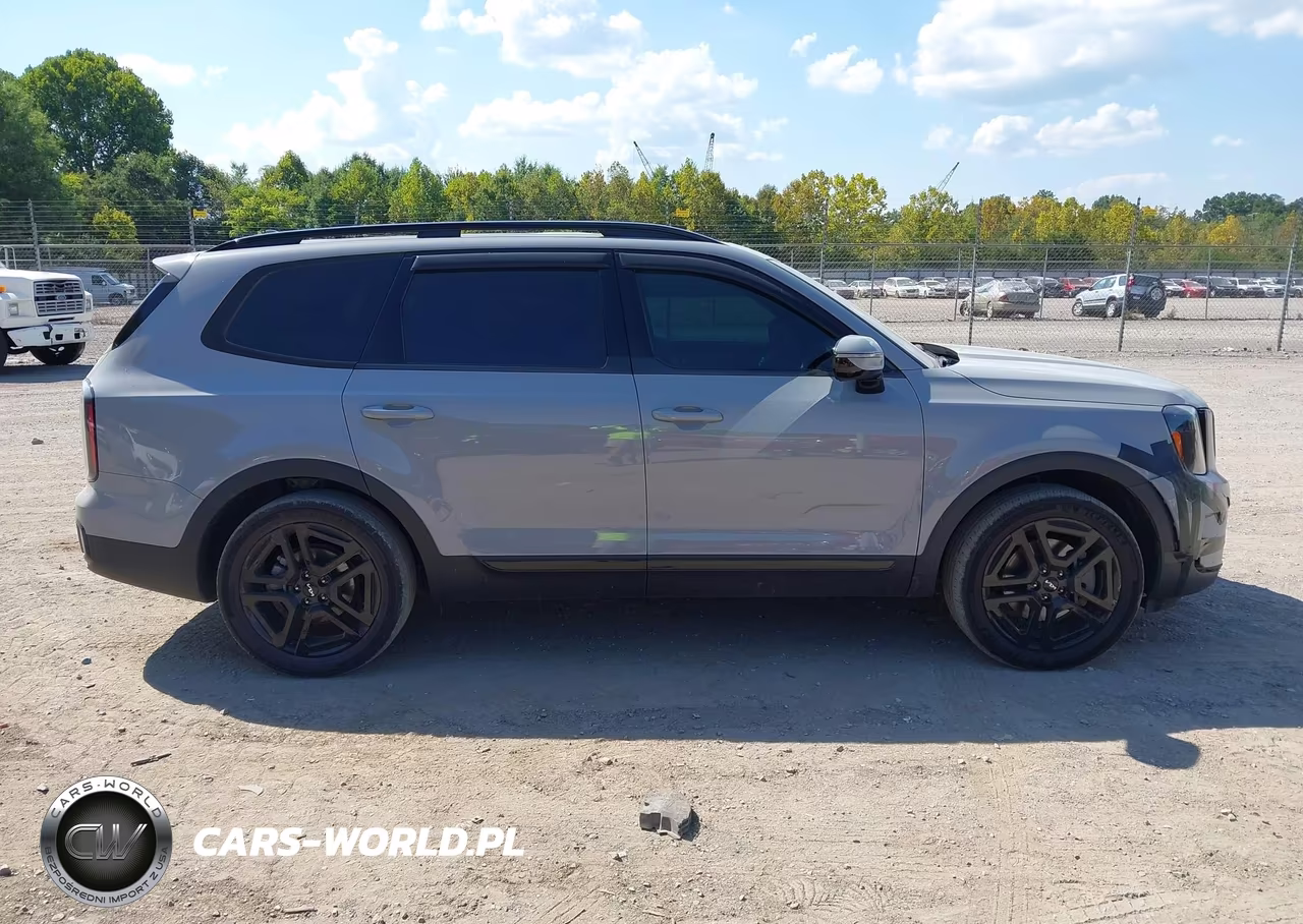 2024 Kia Telluride Sx X-Line VIN:5XYP5DGC6RG435975 - 13