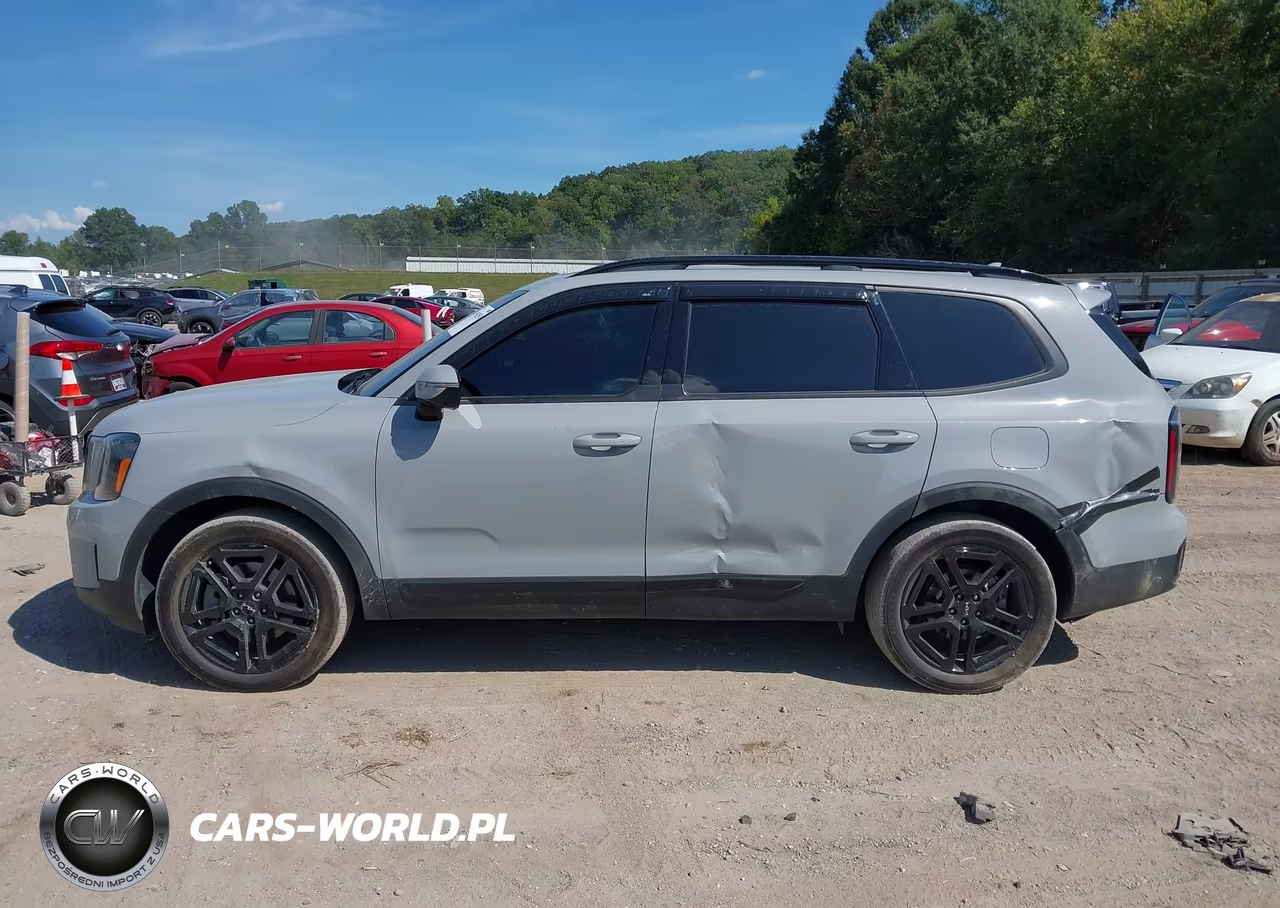 2024 Kia Telluride Sx X-Line VIN:5XYP5DGC6RG435975 - 14