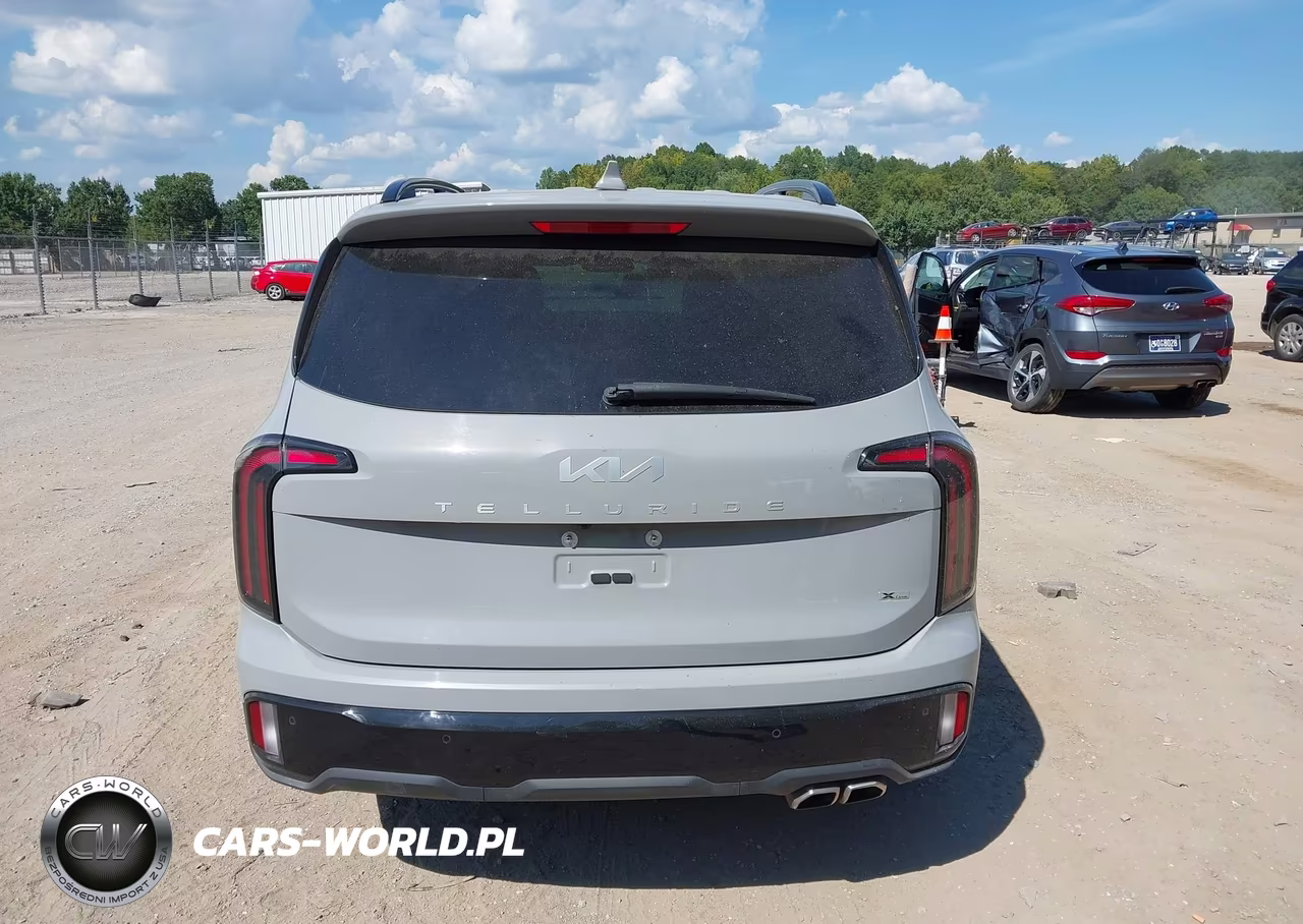 2024 Kia Telluride Sx X-Line VIN:5XYP5DGC6RG435975 - 16