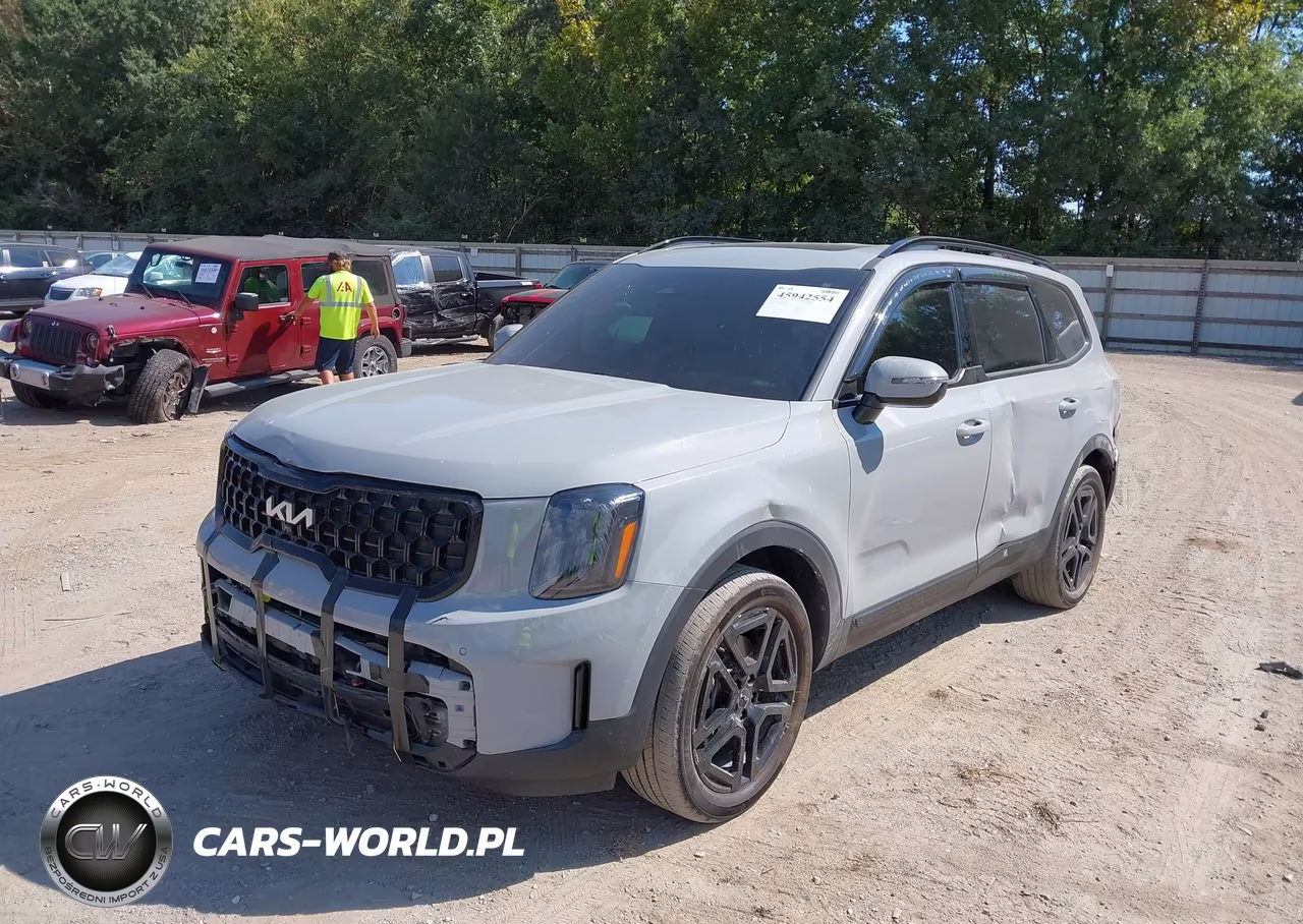 2024 Kia Telluride Sx X-Line VIN:5XYP5DGC6RG435975 - 2