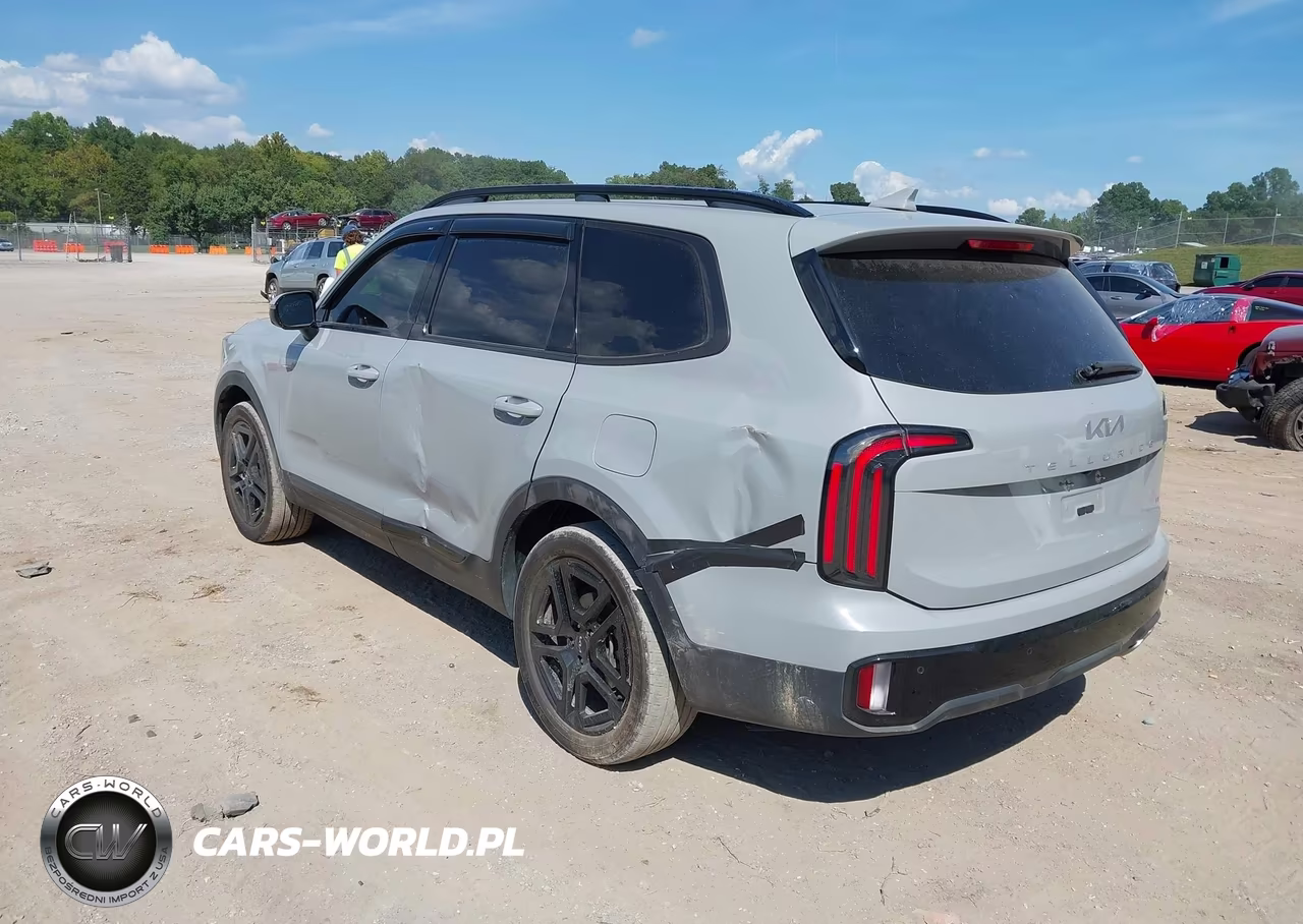 2024 Kia Telluride Sx X-Line VIN:5XYP5DGC6RG435975 - 3