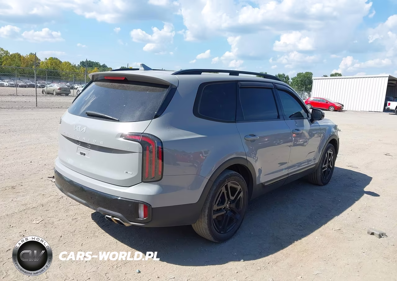 2024 Kia Telluride Sx X-Line VIN:5XYP5DGC6RG435975 - 4