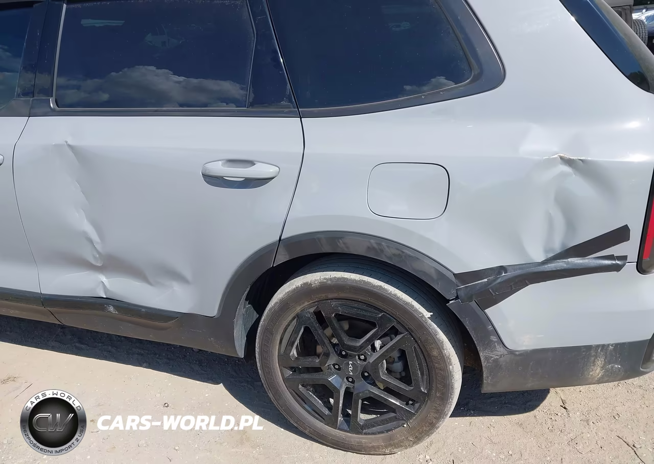 2024 Kia Telluride Sx X-Line VIN:5XYP5DGC6RG435975 - 6