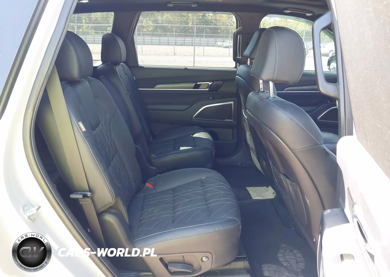 2024 Kia Telluride Sx X-Line VIN:5XYP5DGC6RG435975 - 8