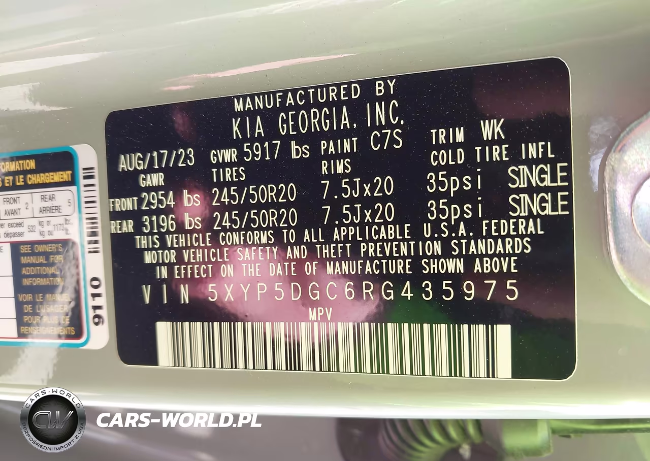 2024 Kia Telluride Sx X-Line VIN:5XYP5DGC6RG435975 - 9