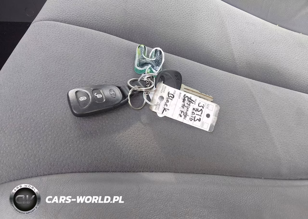 2010 Hyundai Santa Fe Se VIN:5NMSHDAG9AH356372 - 11
