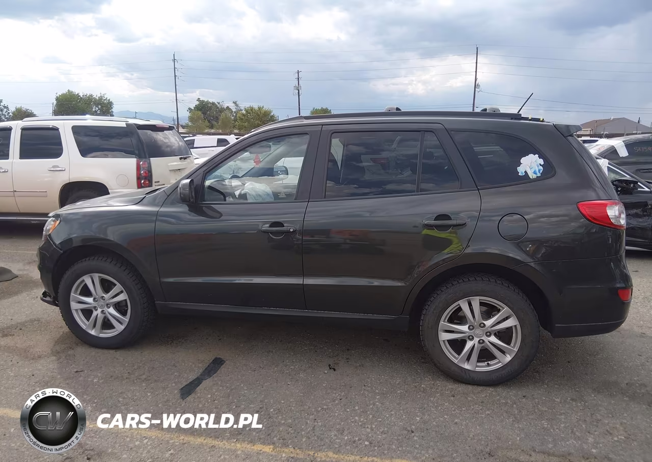 2010 Hyundai Santa Fe Se VIN:5NMSHDAG9AH356372 - 14