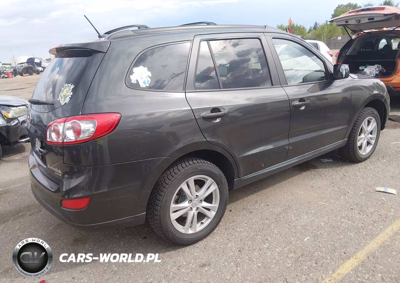 2010 Hyundai Santa Fe Se VIN:5NMSHDAG9AH356372 - 4