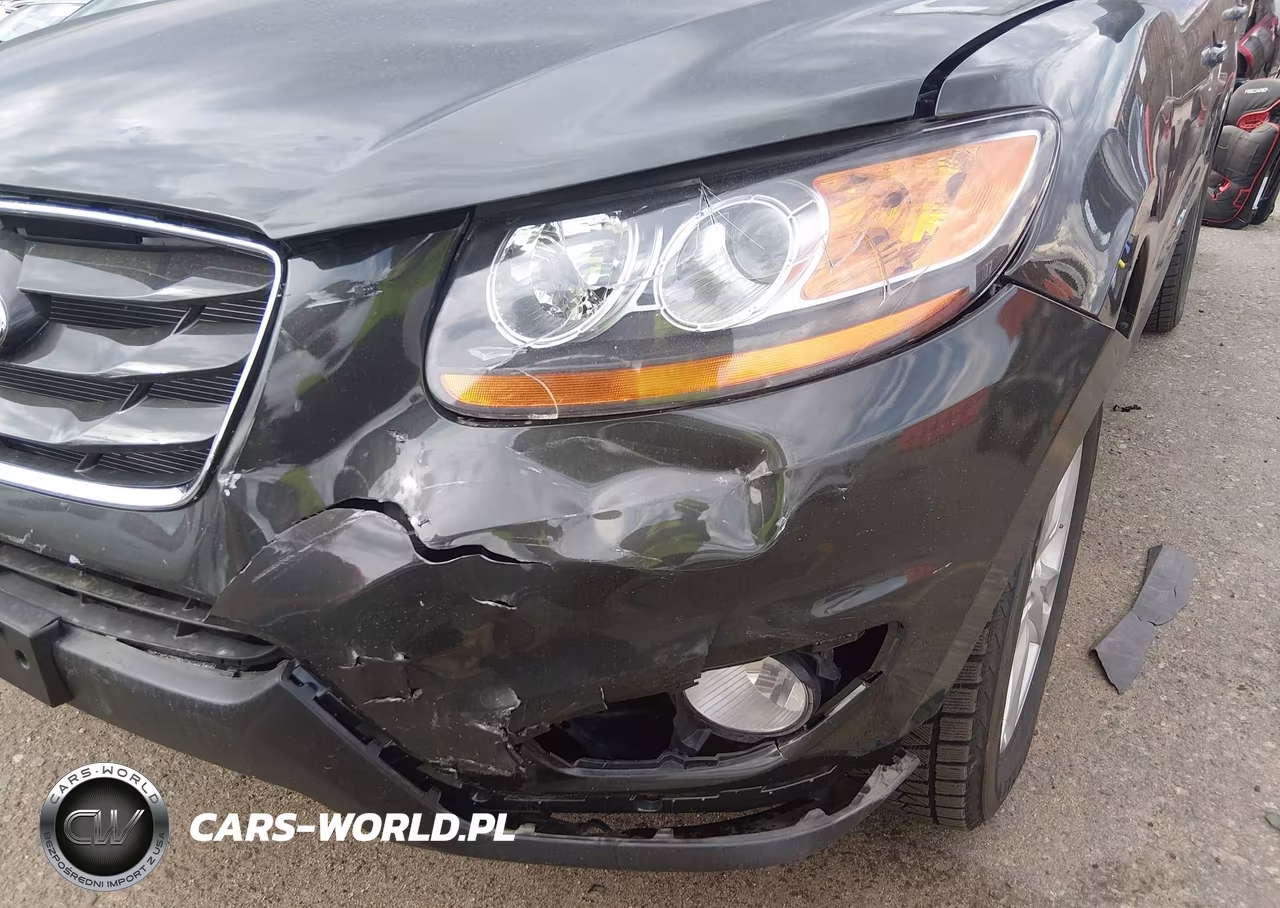 2010 Hyundai Santa Fe Se VIN:5NMSHDAG9AH356372 - 6