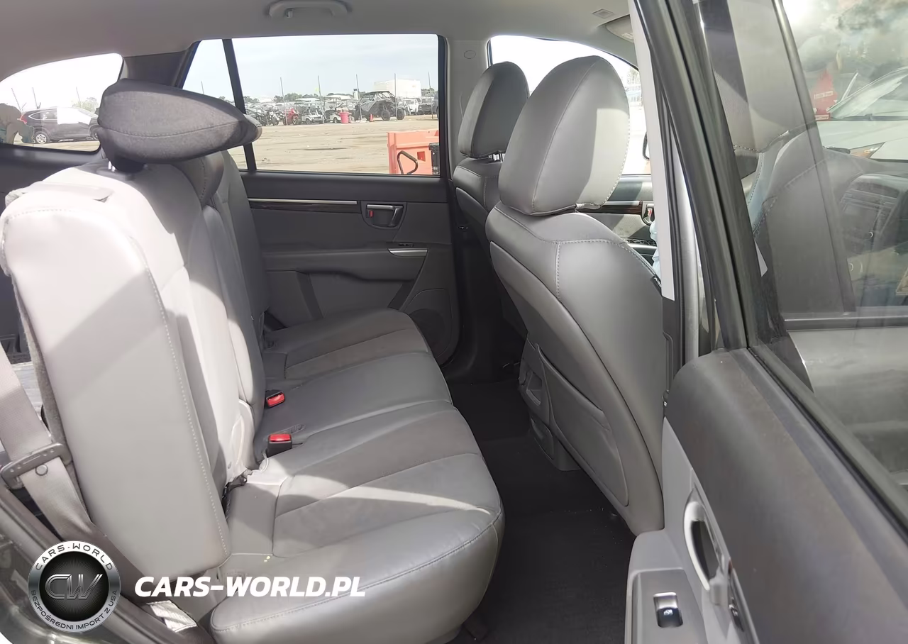 2010 Hyundai Santa Fe Se VIN:5NMSHDAG9AH356372 - 8