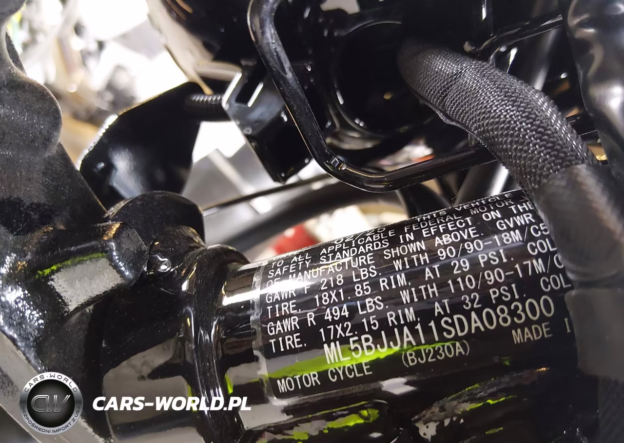 2025 Kawasaki Bj230 A VIN:ML5BJJA11SDA08300 - 10