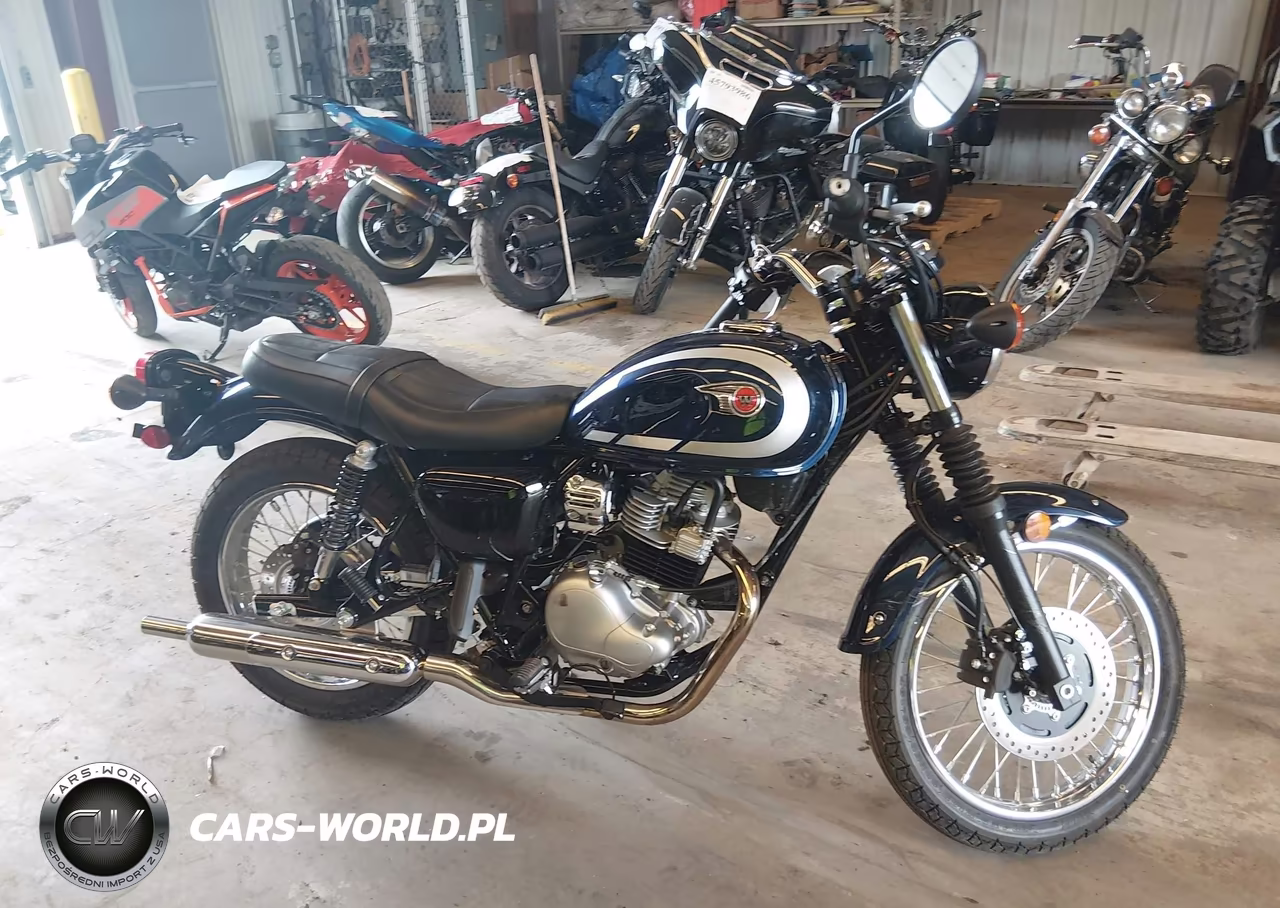 2025 Kawasaki Bj230 A VIN:ML5BJJA11SDA08300 - 13