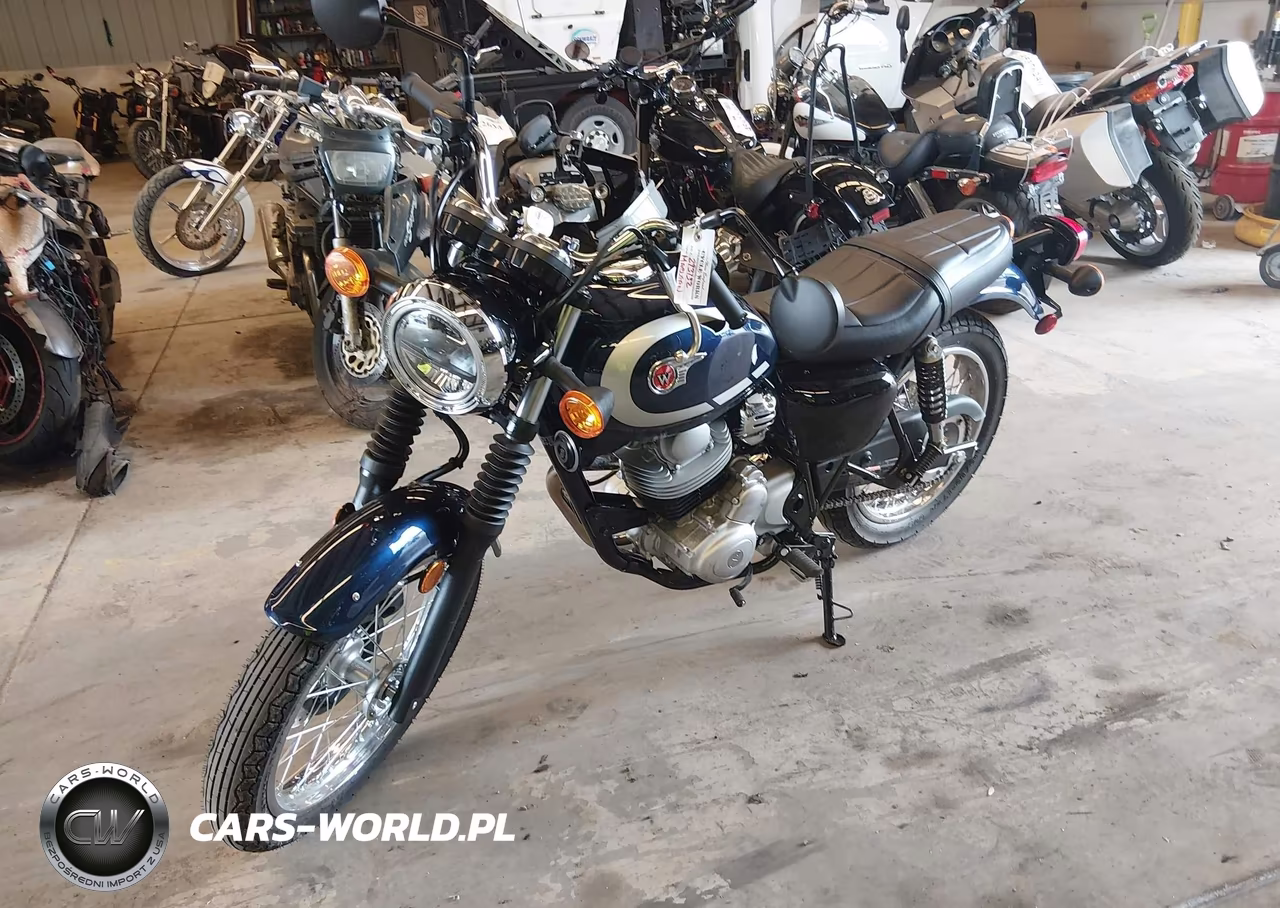 2025 Kawasaki Bj230 A VIN:ML5BJJA11SDA08300 - 2