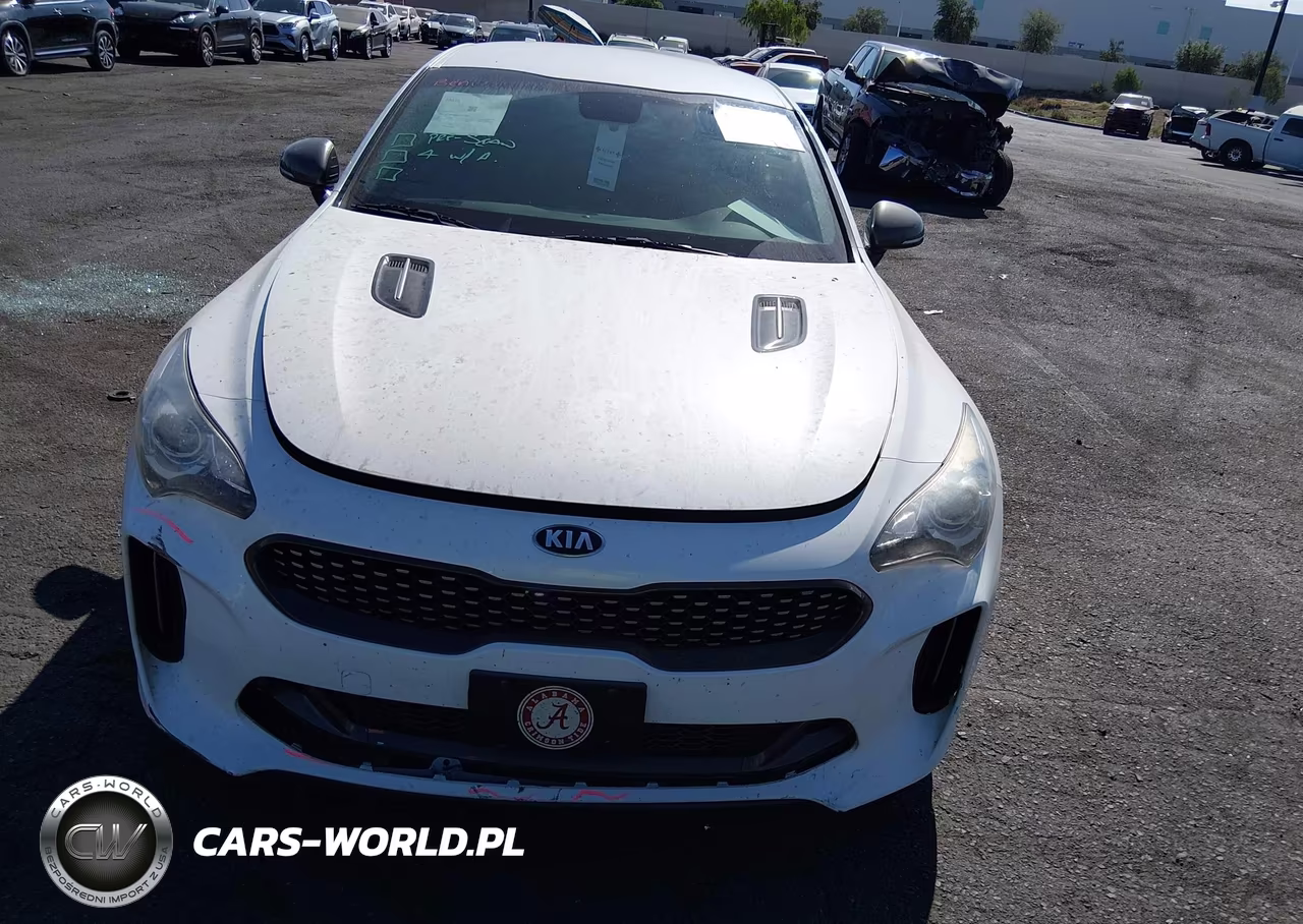 2020 Kia Stinger Gt-Line VIN:KNAE15LA6L6080522 - 12