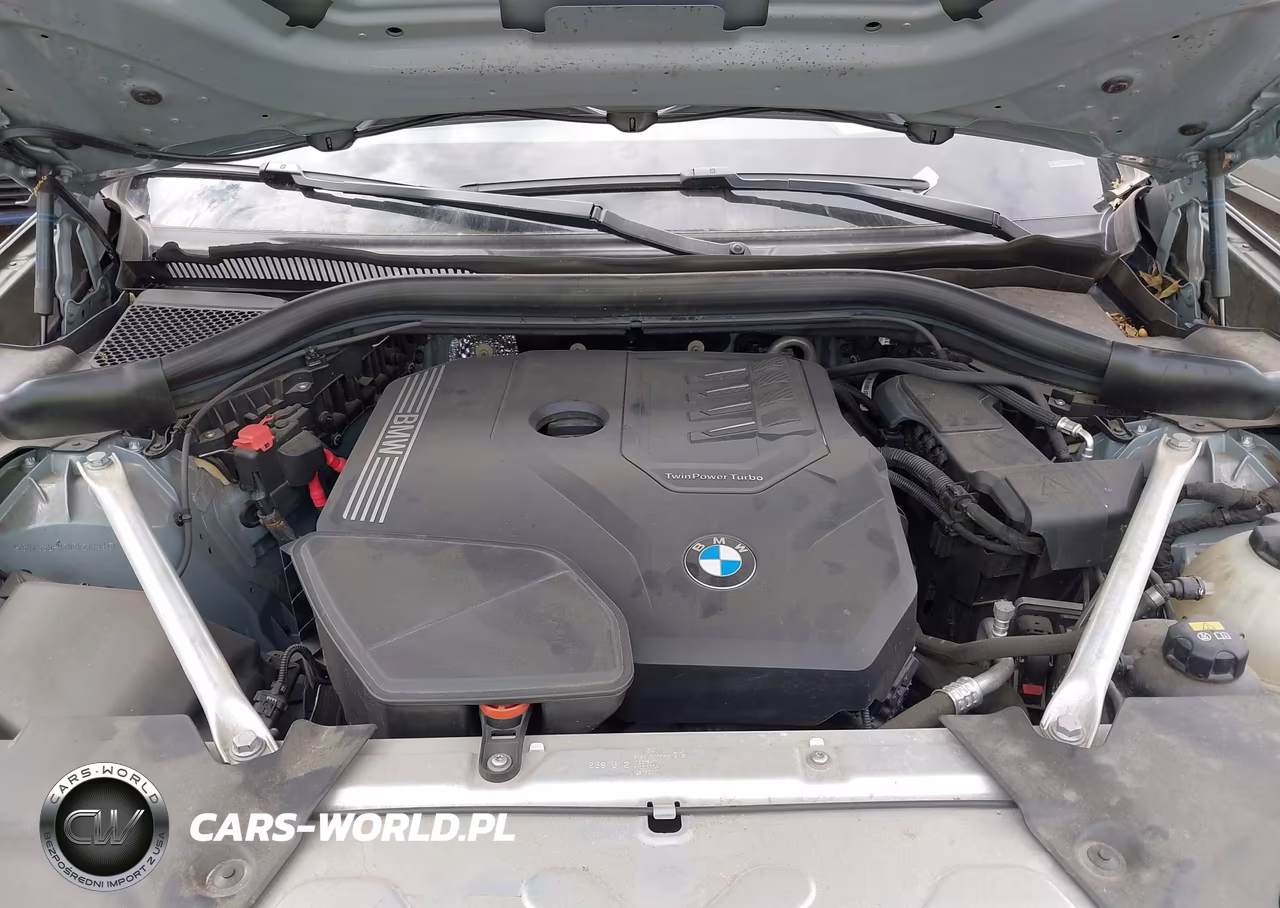 2022 BMW X3 xDrive30I VIN:5UX53DP02N9K21899 - 10