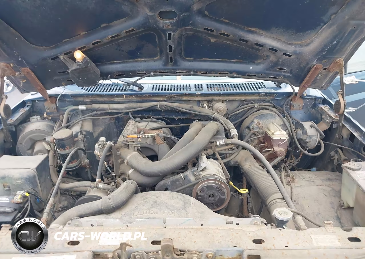 1986 Ford Bronco U100 VIN:1FMDU15NXGLA47055 - 10