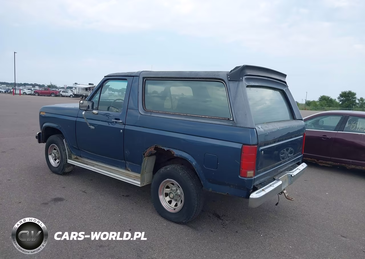 1986 Ford Bronco U100 VIN:1FMDU15NXGLA47055 - 3