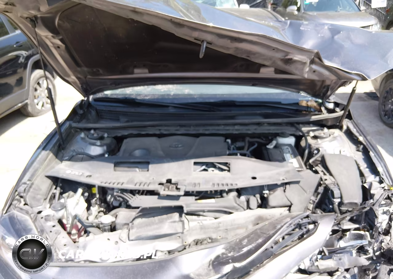 2019 Toyota Camry Se VIN:4T1B11HK6KU721416 - 10
