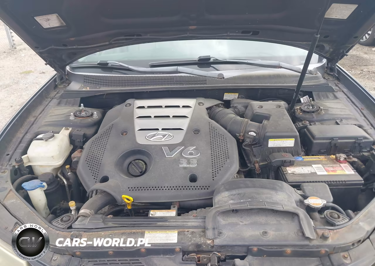 2006 Hyundai Sonata Gls V6-Lx V6 VIN:5NPEU46F66H041628 - 10