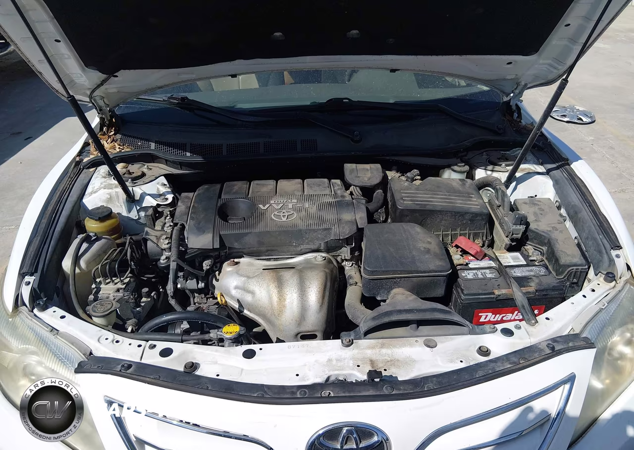 2010 Toyota Camry Xle VIN:4T1BF3EK5AU518842 - 10