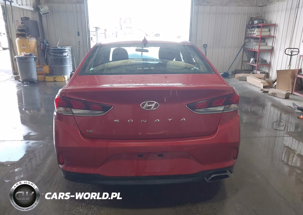 2019 Hyundai Sonata Se VIN:5NPE24AF7KH787786 - 17
