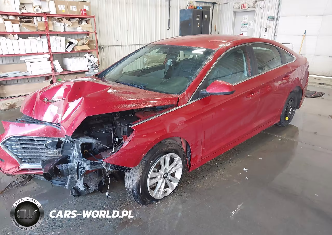 2019 Hyundai Sonata Se VIN:5NPE24AF7KH787786 - 2