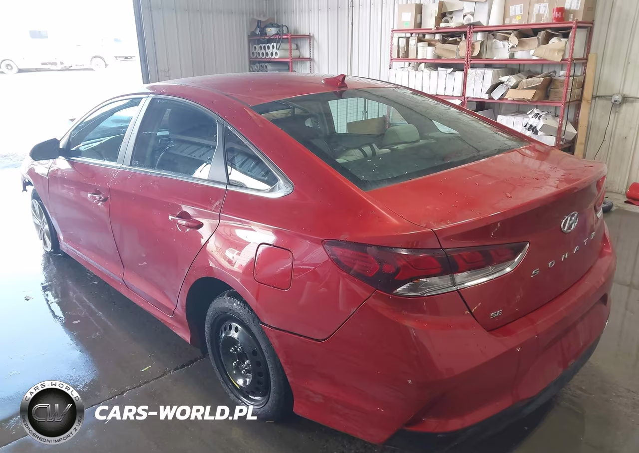 2019 Hyundai Sonata Se VIN:5NPE24AF7KH787786 - 3