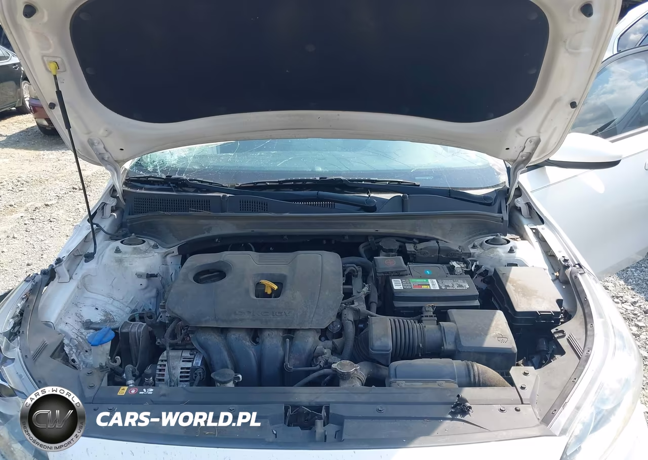2019 Kia Forte S VIN:3KPF34AD0KE021015 - 10