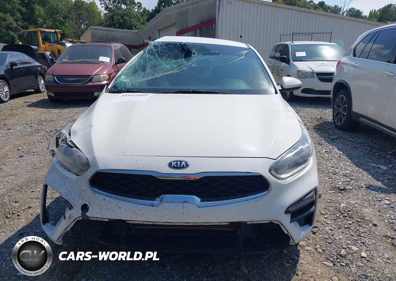 2019 Kia Forte S VIN:3KPF34AD0KE021015 - 12