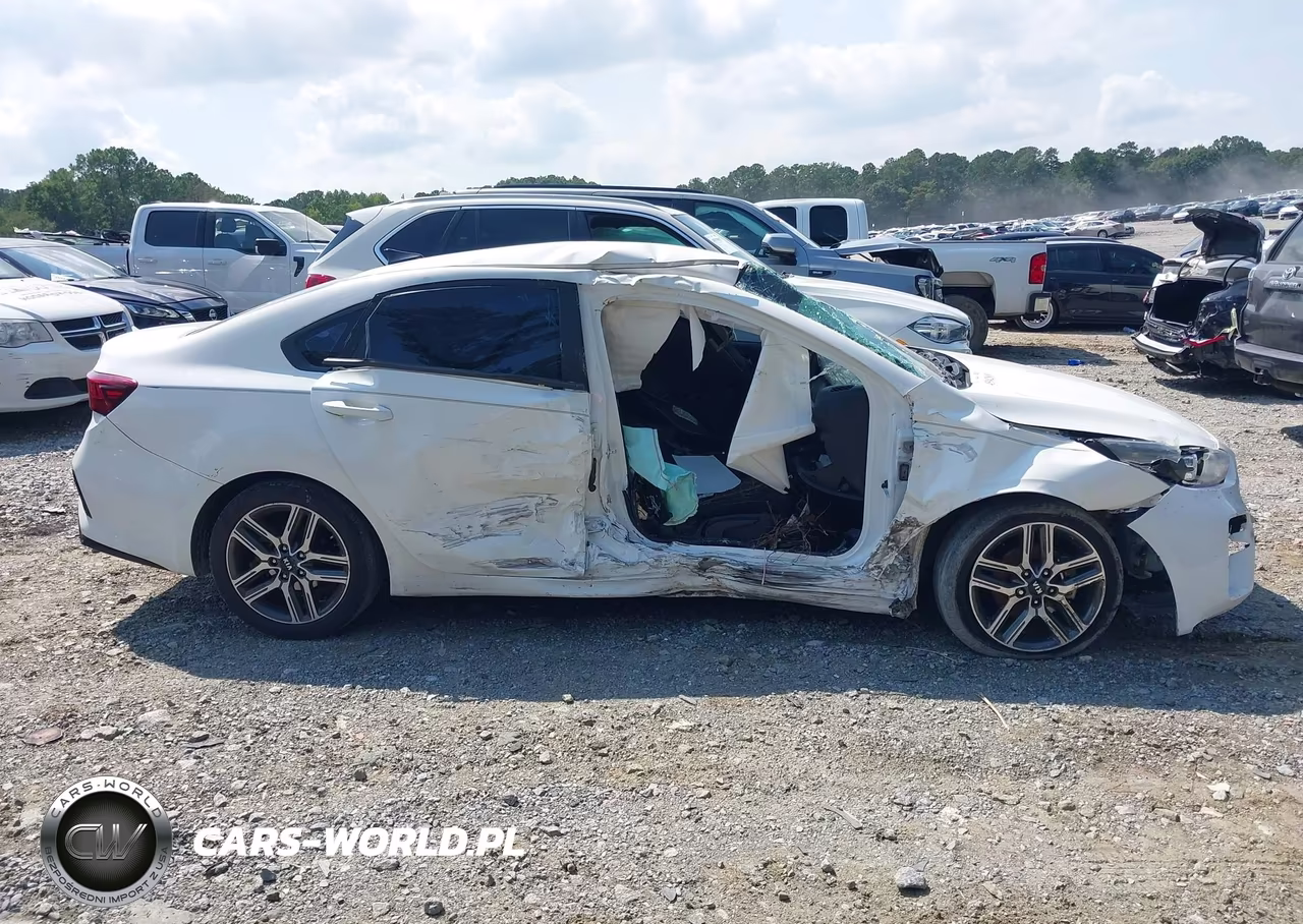 2019 Kia Forte S VIN:3KPF34AD0KE021015 - 13