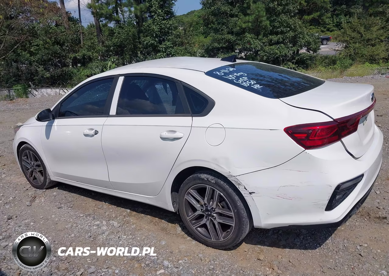 2019 Kia Forte S VIN:3KPF34AD0KE021015 - 14