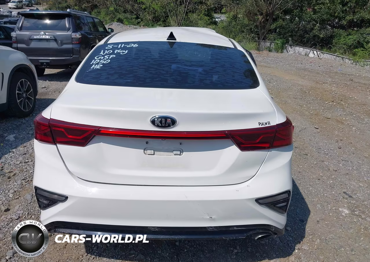 2019 Kia Forte S VIN:3KPF34AD0KE021015 - 16