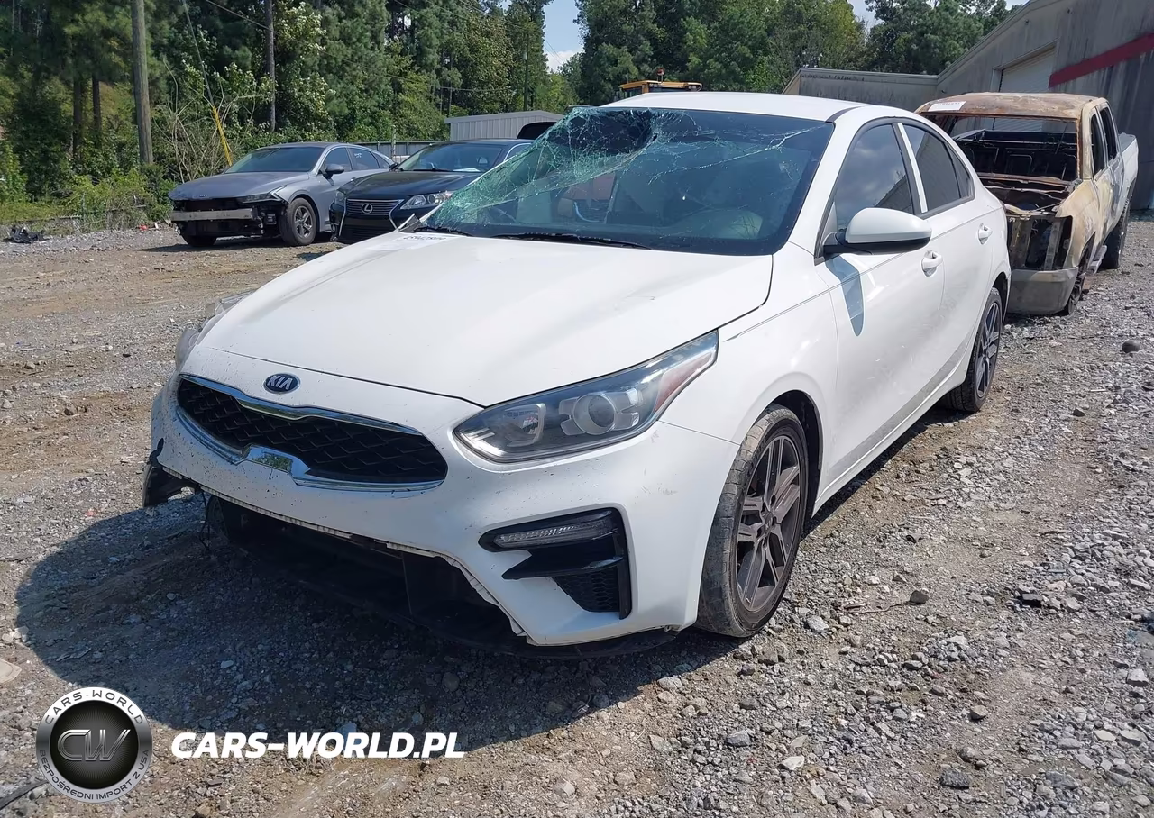 2019 Kia Forte S VIN:3KPF34AD0KE021015 - 2