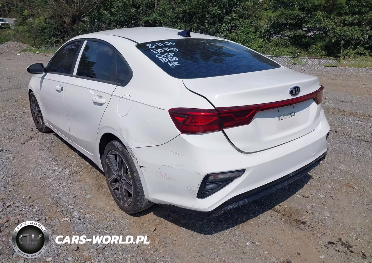 2019 Kia Forte S VIN:3KPF34AD0KE021015 - 3