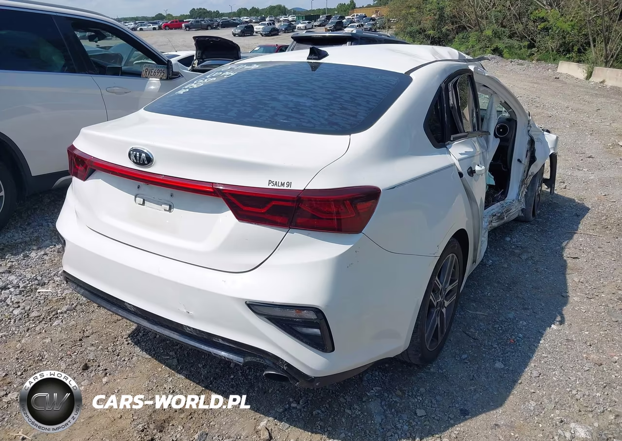 2019 Kia Forte S VIN:3KPF34AD0KE021015 - 4