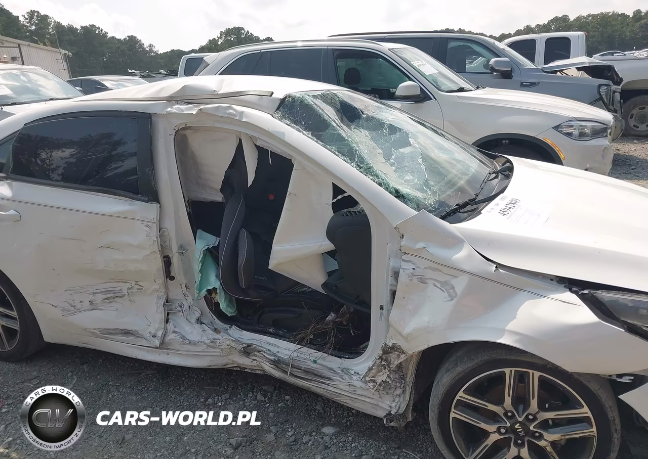 2019 Kia Forte S VIN:3KPF34AD0KE021015 - 6