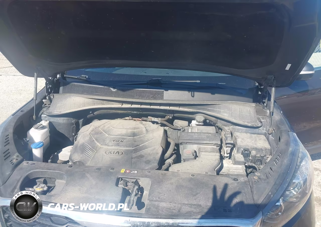 2019 Kia Sorento 3.3L Lx VIN:5XYPGDA52KG553208 - 10